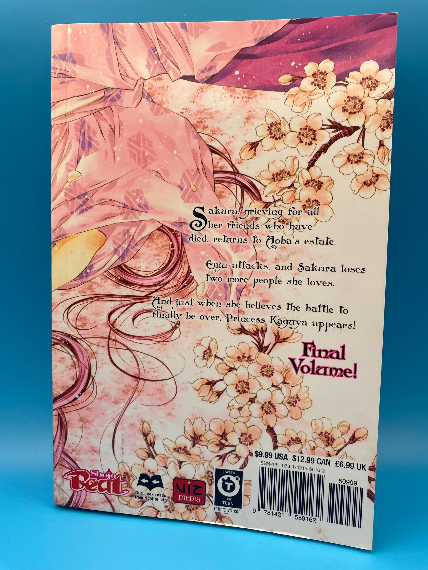 Sakura Hime - Vol 12 (USED/ACCEPTABLE)