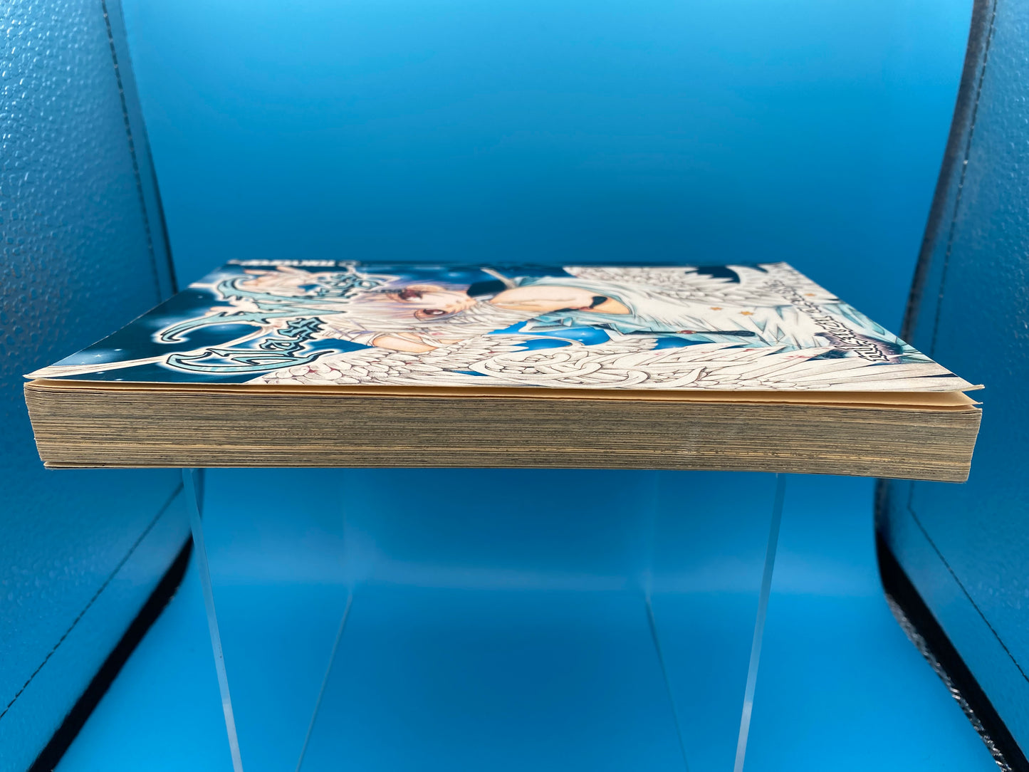 Glass Wings (USED/GOOD)