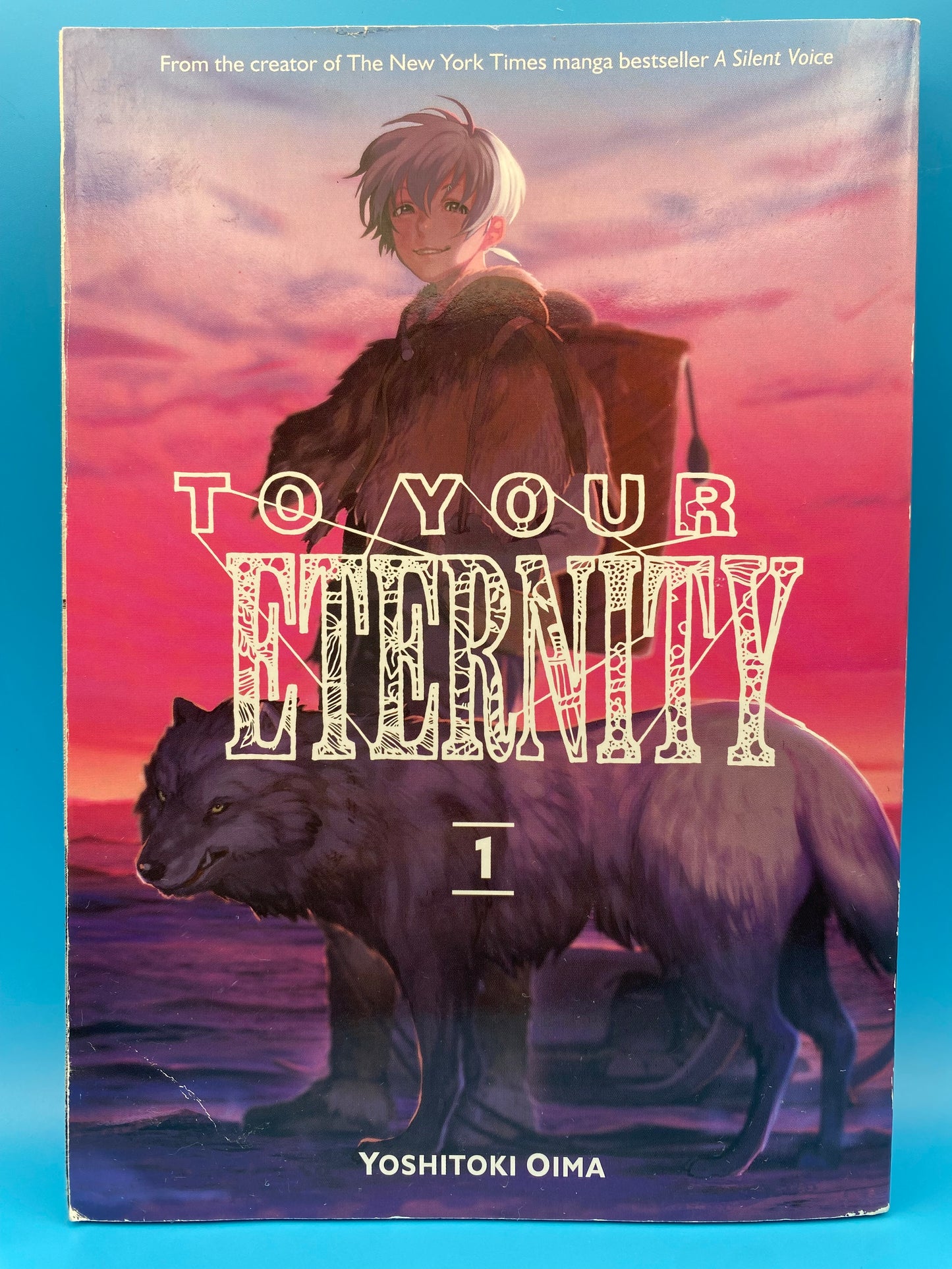 To Your Eternity - Vol 1 (USED/GOOD)
