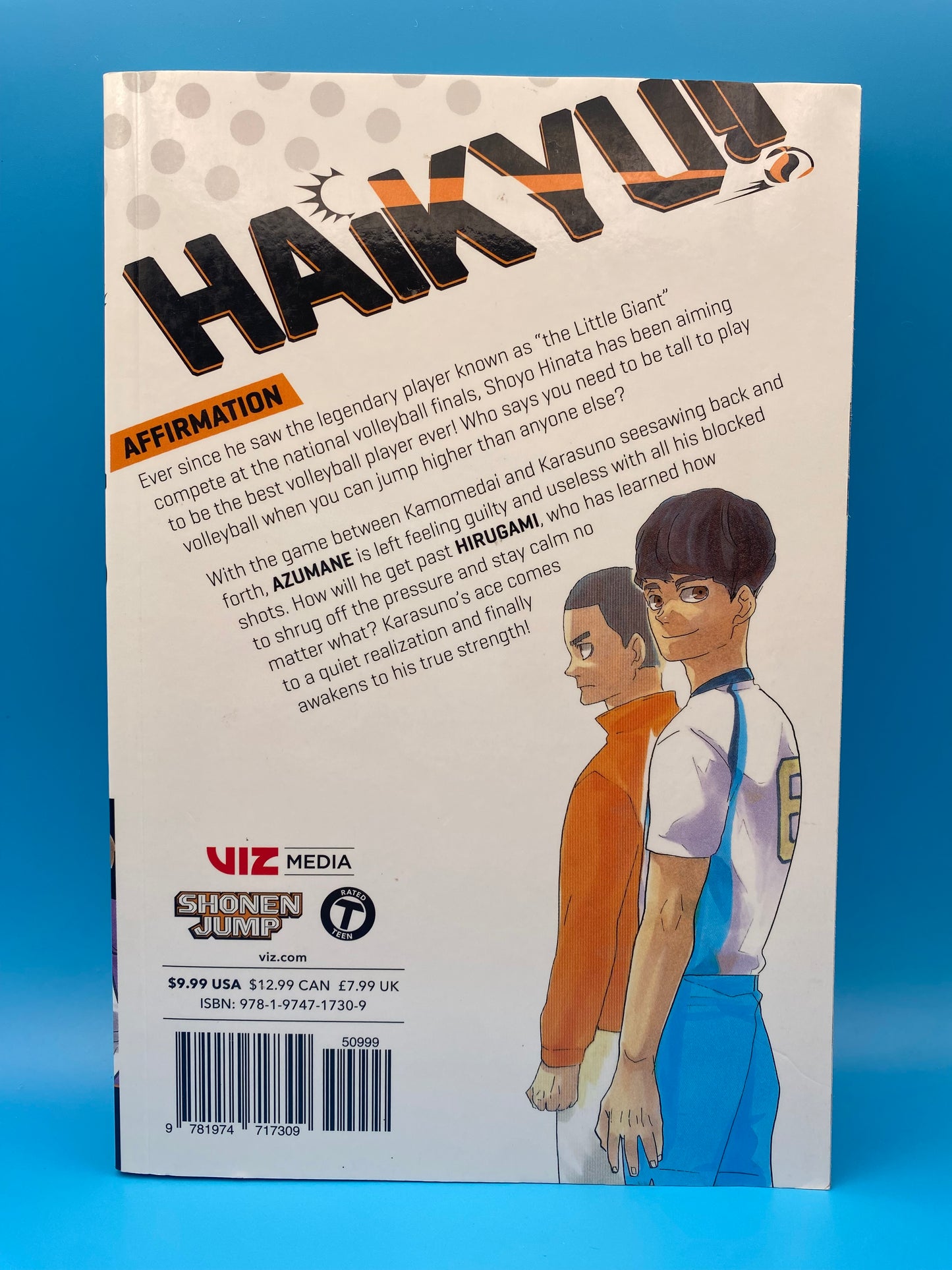 Haikyu!! - Vol 40 (USED/GOOD)