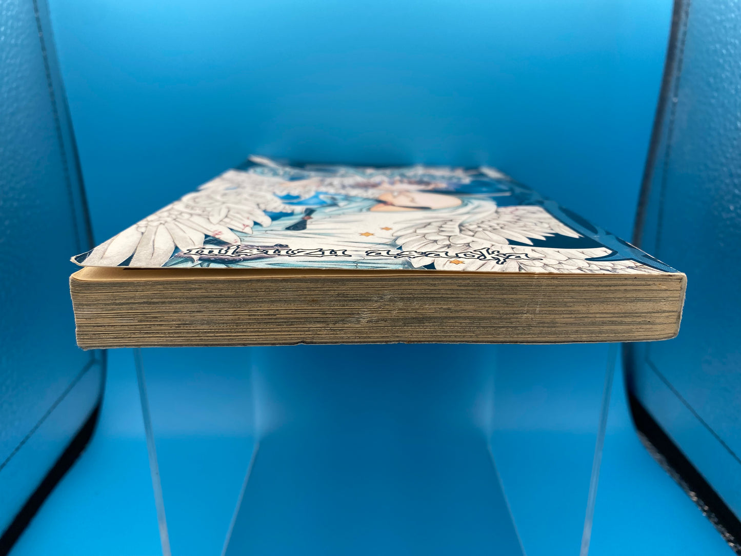 Glass Wings (USED/GOOD)