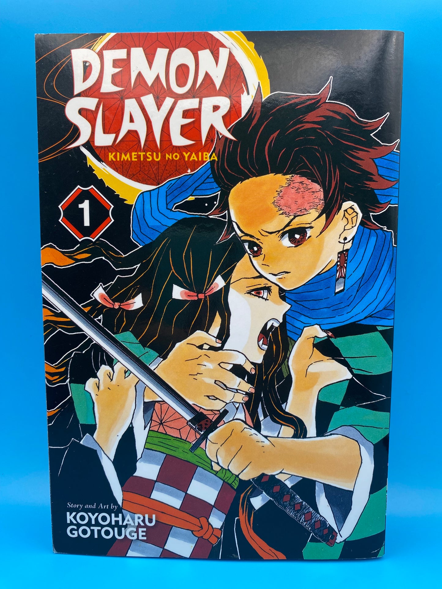 Demon Slayer: Kimetsu no Yaiba - Vol 1 (USED/GOOD)