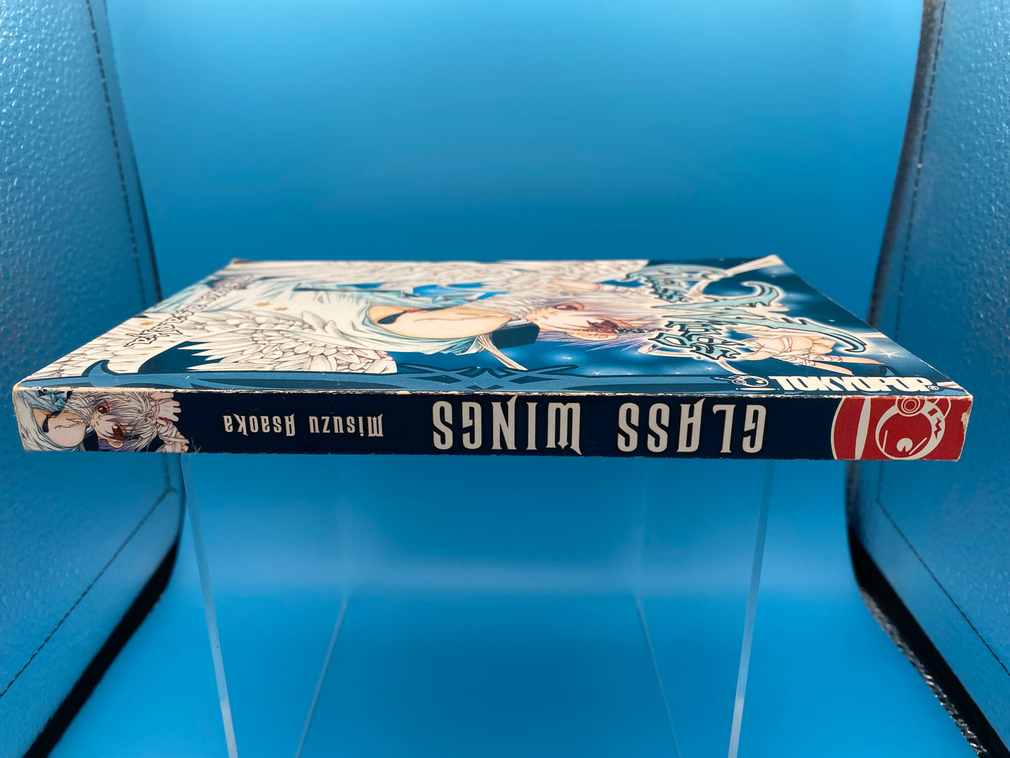 Glass Wings (USED/GOOD)