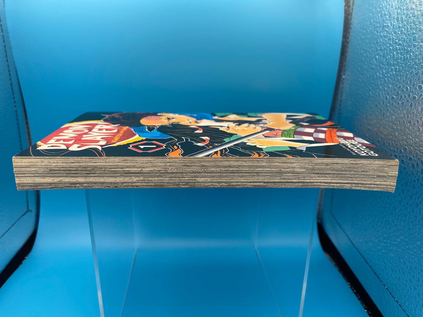 Demon Slayer: Kimetsu no Yaiba - Vol 1 (USED/GOOD)