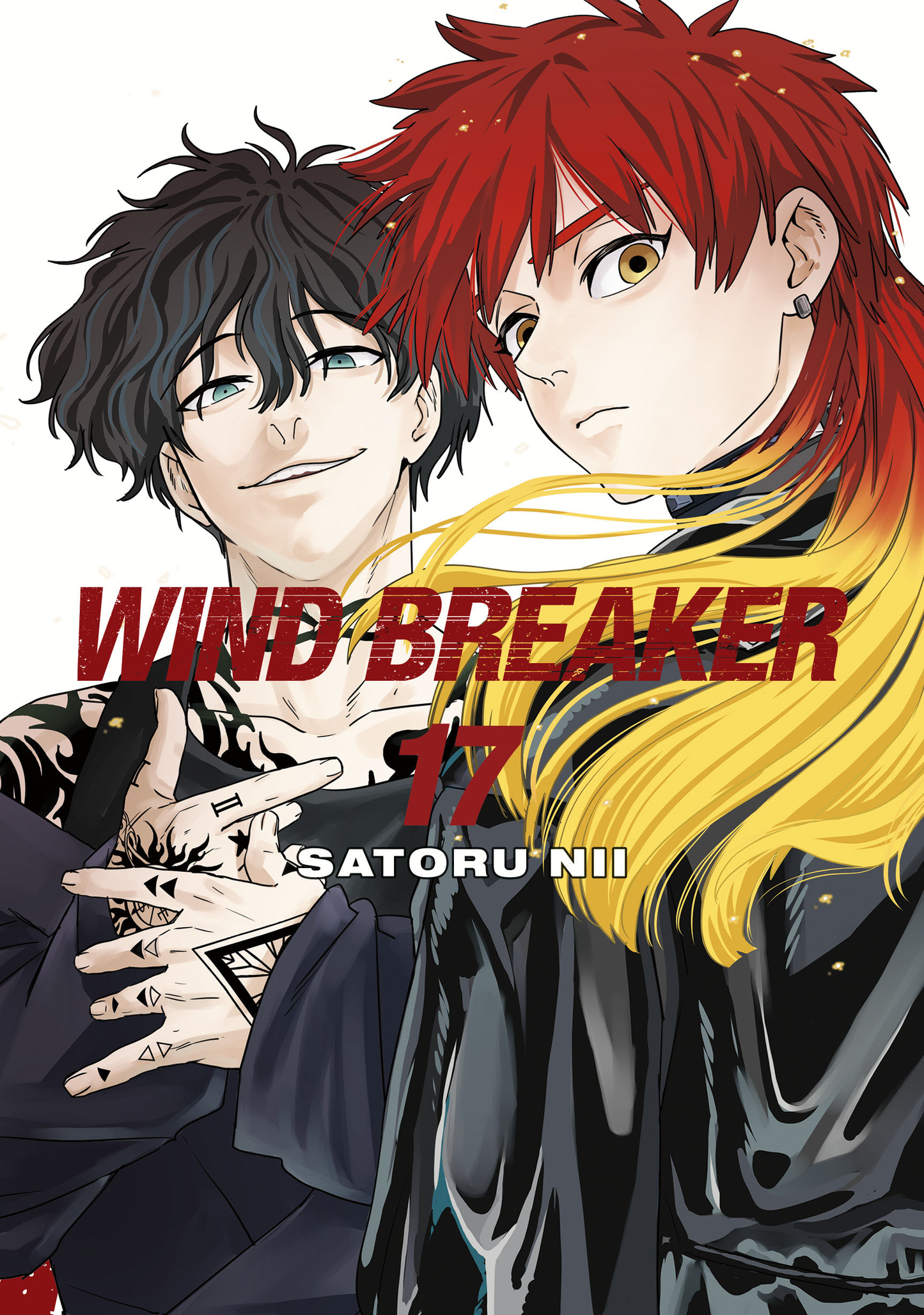 Wind Breaker - Vol 17