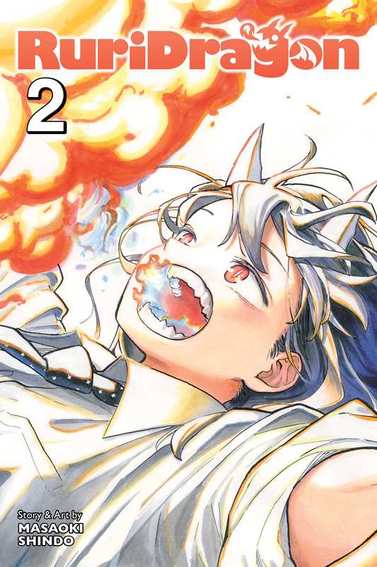 RuriDragon - Vol 2