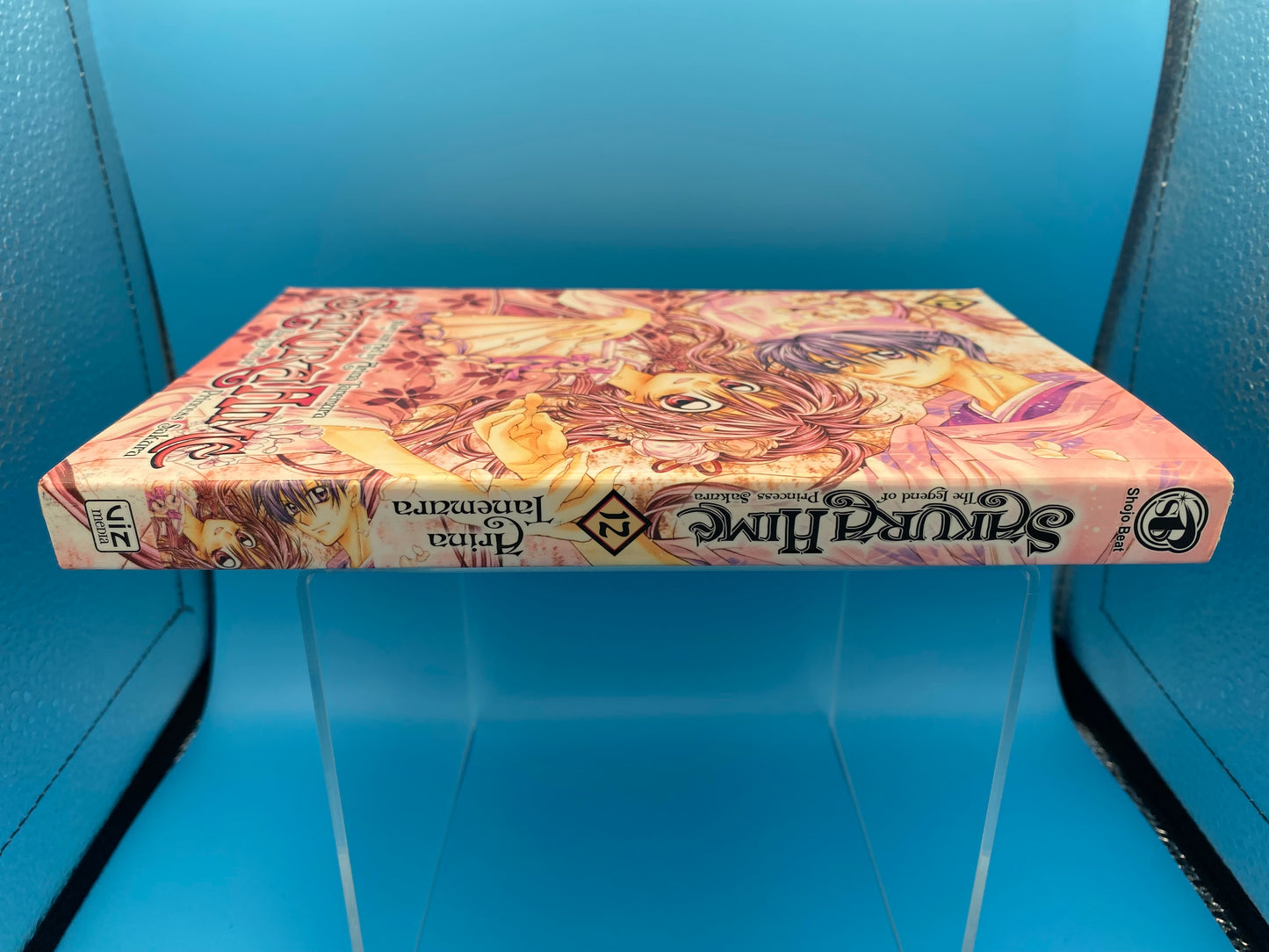 Sakura Hime - Vol 12 (USED/ACCEPTABLE)