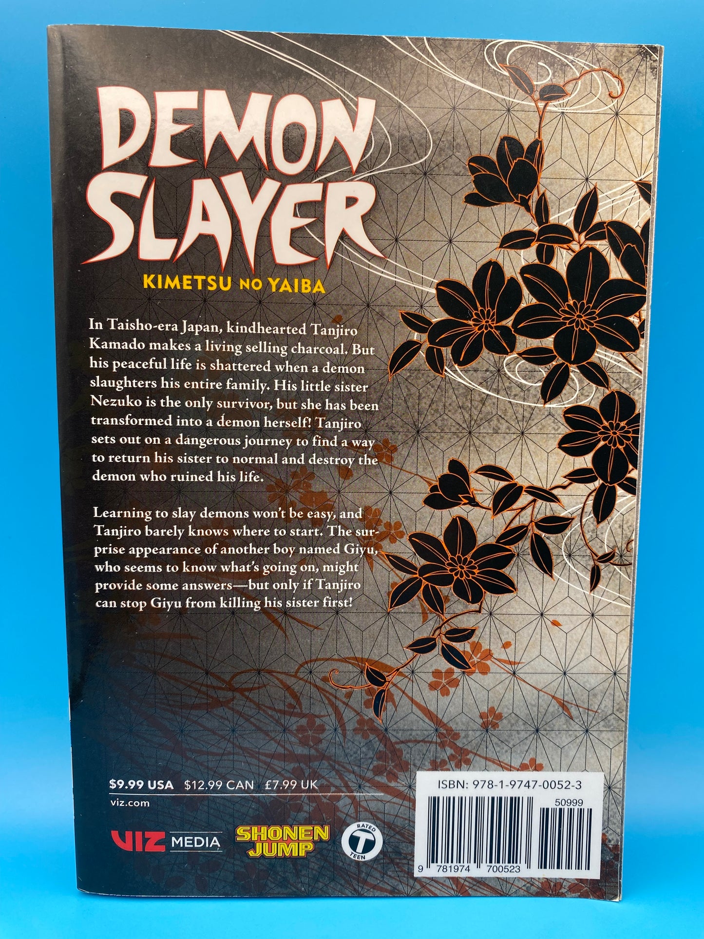 Demon Slayer: Kimetsu no Yaiba - Vol 1 (USED/GOOD)