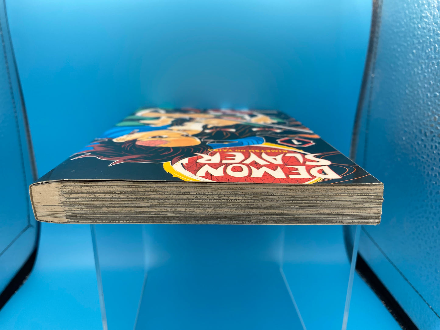 Demon Slayer: Kimetsu no Yaiba - Vol 1 (USED/GOOD)