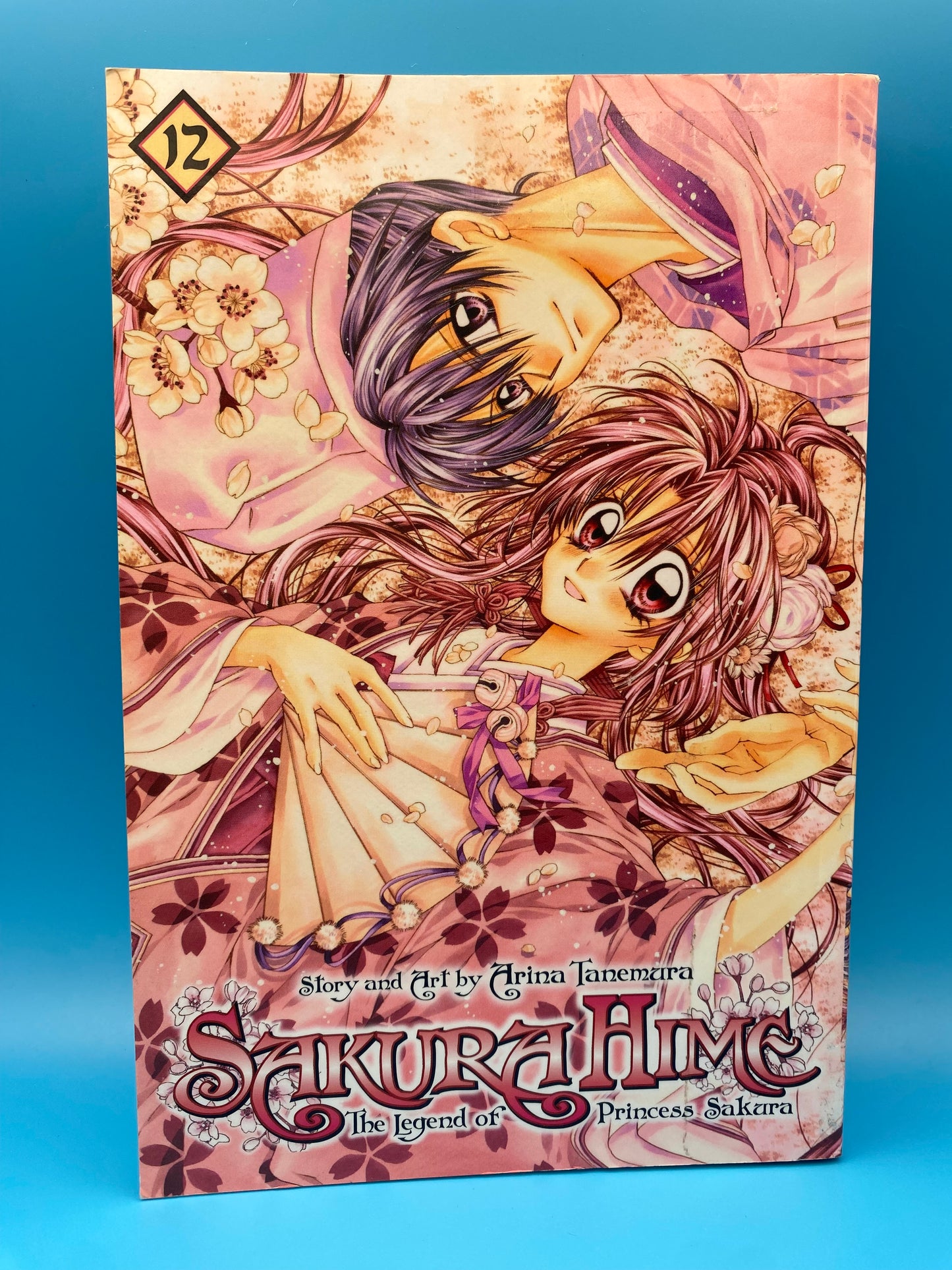 Sakura Hime - Vol 12 (USED/ACCEPTABLE)